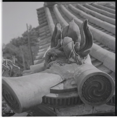 knd_19372(京都府京都市東山区祇園町北側)