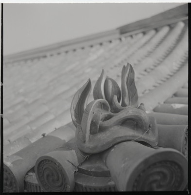 knd_19375(京都府京都市東山区祇園町北側)