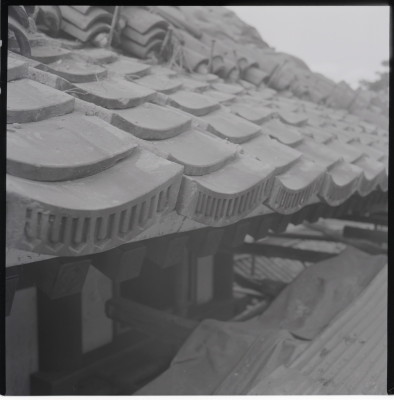 knd_19429(京都府京都市東山区祇園町北側)