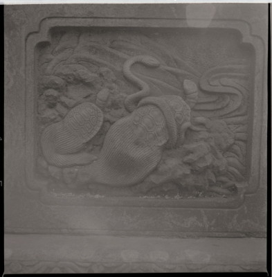 knd_19453(京都府京都市東山区祇園町北側)