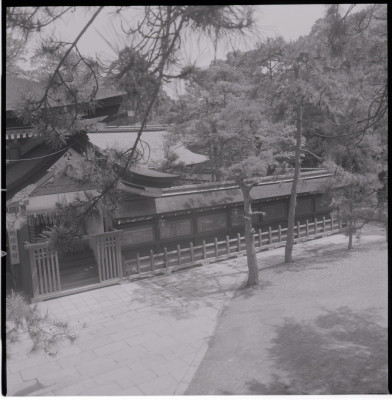 knd_19524(京都府京都市東山区祇園町北側)