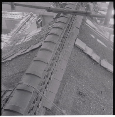 knd_19528(京都府京都市東山区祇園町北側)