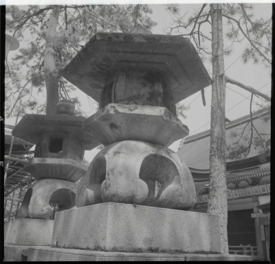 knd_19554(京都府京都市東山区祇園町北側)