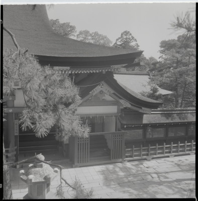 knd_19557(京都府京都市東山区祇園町北側)