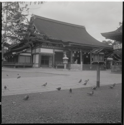knd_19578(京都府京都市東山区祇園町北側)