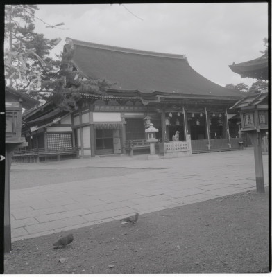 knd_19579(京都府京都市東山区祇園町北側)
