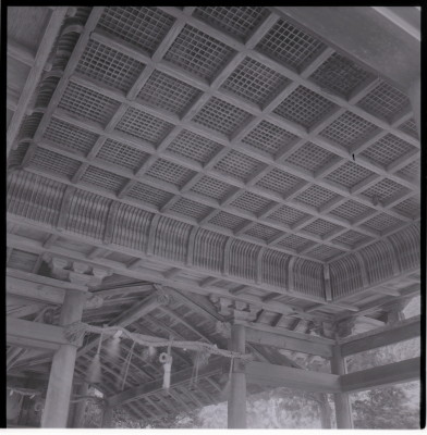 knd_19768(京都府京都市右京区京北鳥居町宮ノ元１)