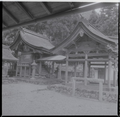 knd_19769(京都府京都市右京区京北鳥居町宮ノ元１)