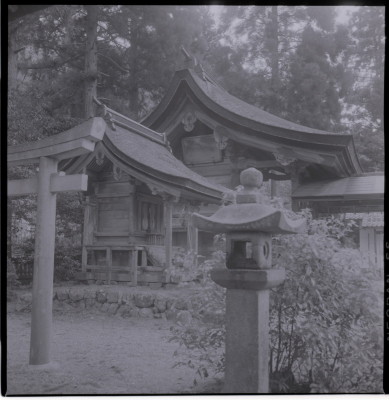 knd_19770(京都府京都市右京区京北鳥居町宮ノ元１)