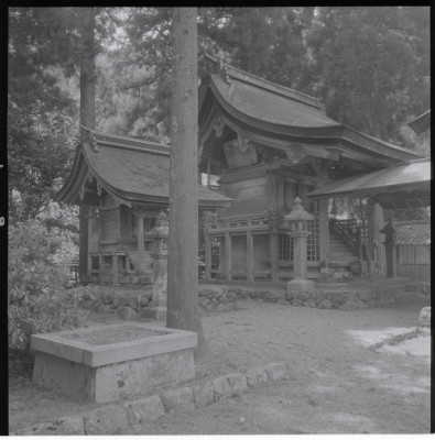 knd_19772(京都府京都市右京区京北鳥居町宮ノ元１)