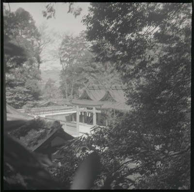 knd_19806(京都府京都市左京区吉田神楽岡町)