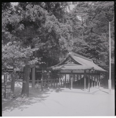 knd_19813(京都府京都市左京区吉田神楽岡町)