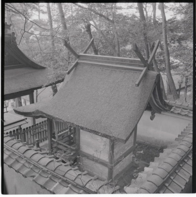 knd_19815(京都府京都市左京区吉田神楽岡町)