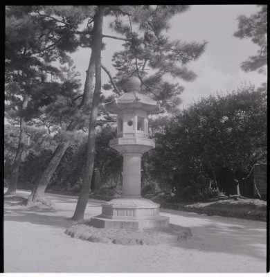knd_19821(京都府京都市左京区吉田神楽岡町)