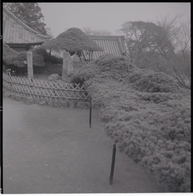 knd_19853(京都府京都市西京区大原野小塩町１３７２)