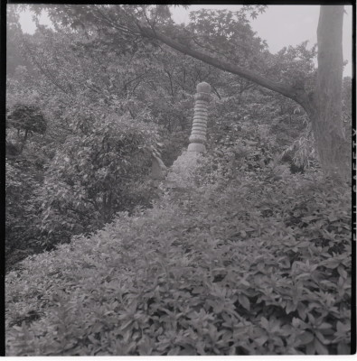 knd_19869(京都府京都市西京区大原野小塩町１３７２)