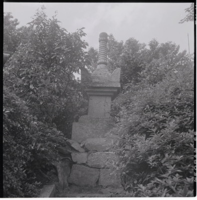knd_19873(京都府京都市西京区大原野小塩町１３７２)