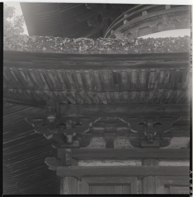 knd_19878(京都府京都市西京区大原野小塩町１３７２)