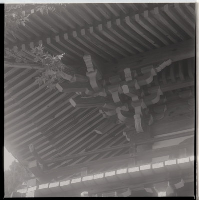 knd_19933(京都府京都市西京区大原野小塩町１３７２)