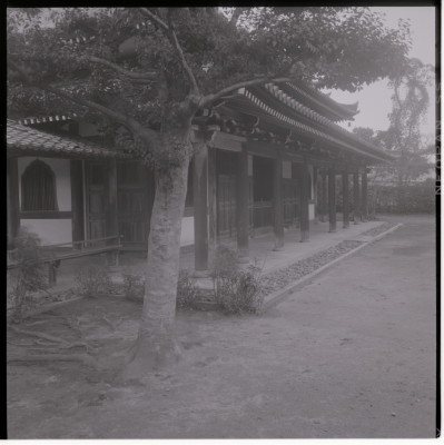 knd_20052(京都府京都市右京区嵯峨天龍寺造路町３３)