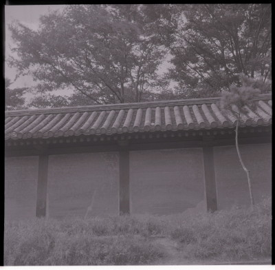 knd_20111(京都府京都市東山区三十三間堂廻リ６５７)