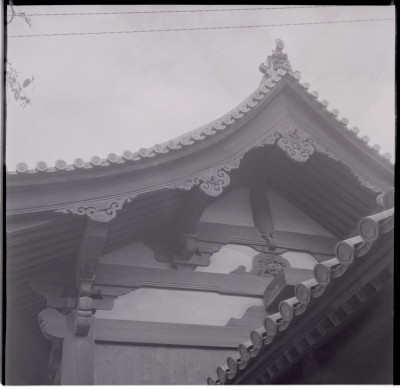 knd_20113(京都府京都市東山区三十三間堂廻リ６５７)