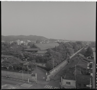 knd_20156(京都府京都市東山区三十三間堂廻リ６５７)