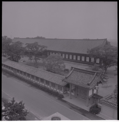 knd_20161(京都府京都市東山区三十三間堂廻リ６５７)