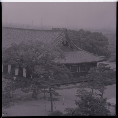 knd_20162(京都府京都市東山区三十三間堂廻リ６５７)