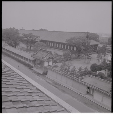 knd_20165(京都府京都市東山区三十三間堂廻リ６５７)