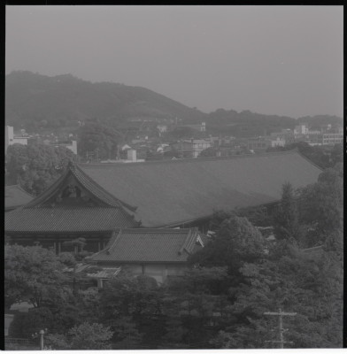knd_20168(京都府京都市東山区三十三間堂廻リ６５７)