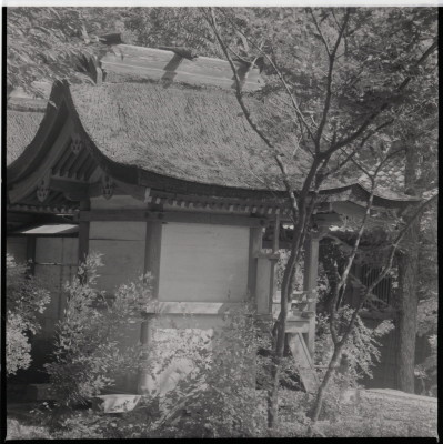 knd_20770()