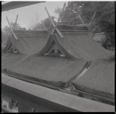 knd_21034()
