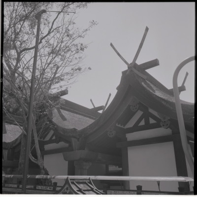 knd_21045()