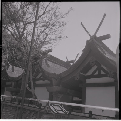 knd_21047()