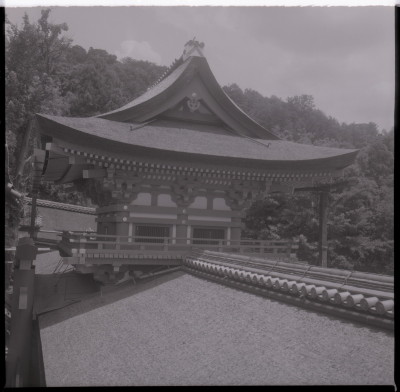knd_21147()