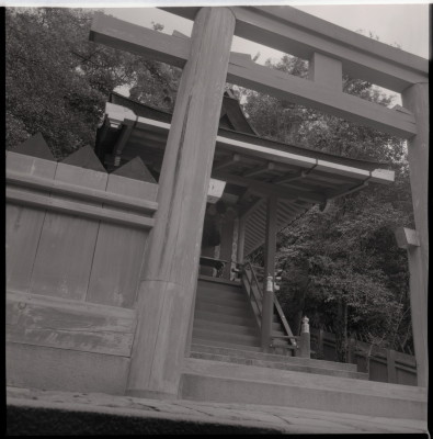 knd_21743()