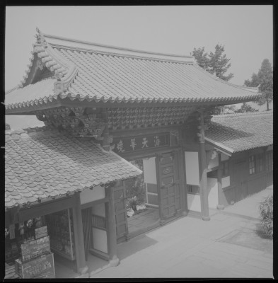 knd_36822()