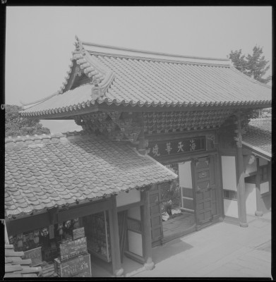 knd_36826()