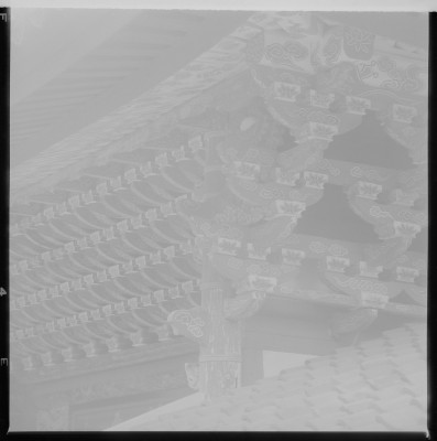knd_36835()
