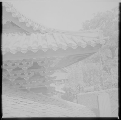 knd_36841()