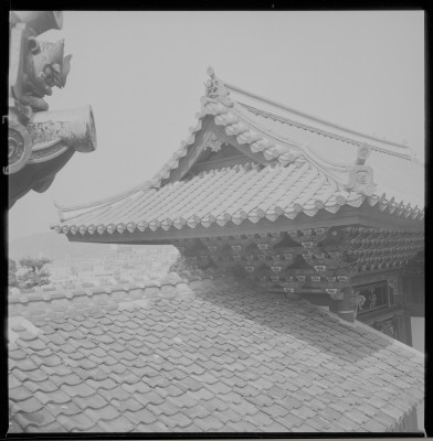 knd_36842()