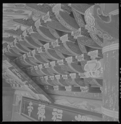 knd_36852()