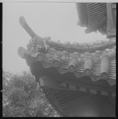 knd_36869()