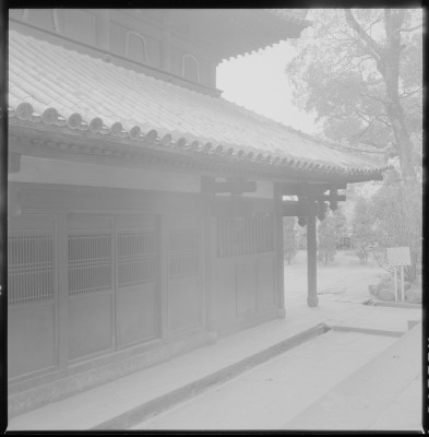 knd_36894()