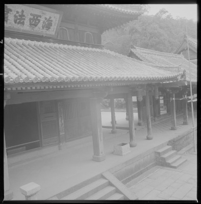knd_36896()