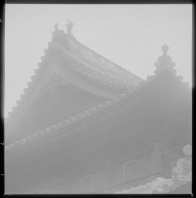 knd_36919()