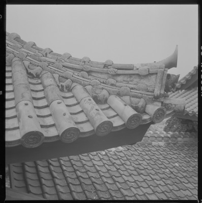 knd_36945()