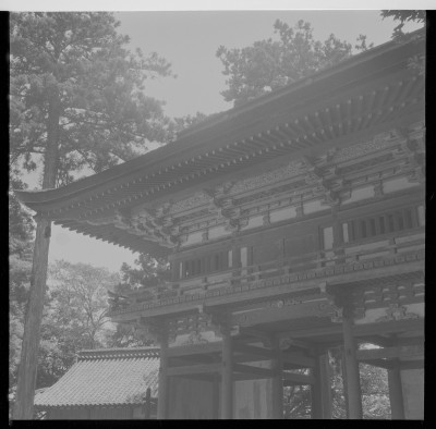knd_37093()