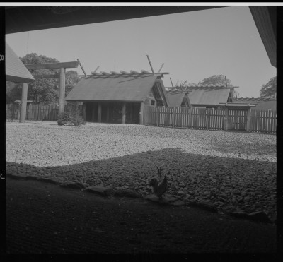 knd_37097()